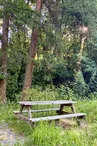 Aire de Pique-nique de Tigny