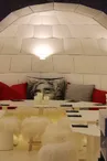 Pizzeria-Restaurant L'Igloo