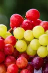 Raisins