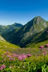 Parc naturel régional du Massif des Bauges