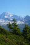 Réserve naturelle des Hauts de Villaroger