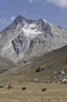 Réserve naturelle nationale de la Grande Sassière