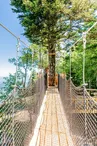 Le Nid des Aigles - Passerelle dans les arbres